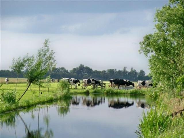Apud Nos Domi Aparthotel Polsbroek Exteriör bild